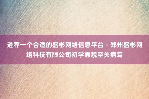 遴荐一个合适的盛彬网络信息平台 - 郑州盛彬网络科技有限公司初学面貌至关病笃