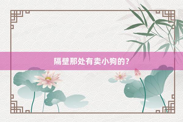 隔壁那处有卖小狗的？