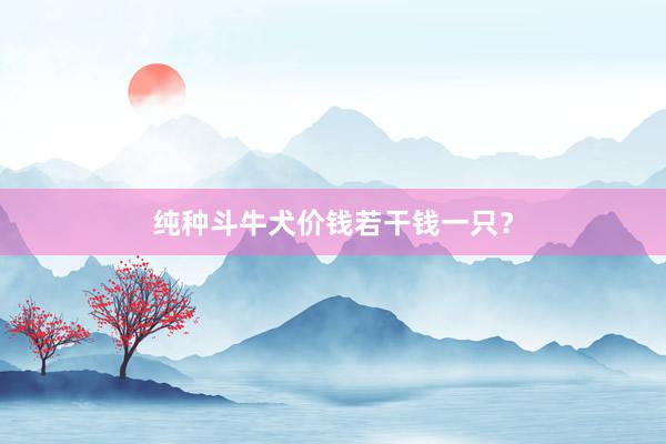 纯种斗牛犬价钱若干钱一只？