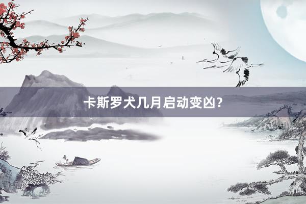 卡斯罗犬几月启动变凶？