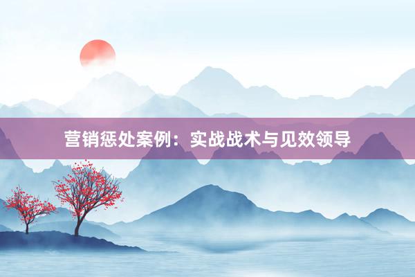营销惩处案例：实战战术与见效领导